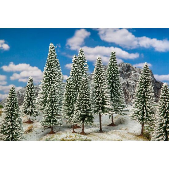18 sapins d'hiver