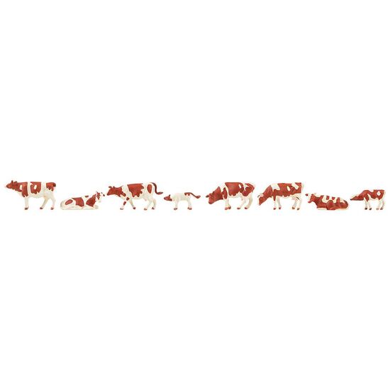 Vaches tachetées de brun