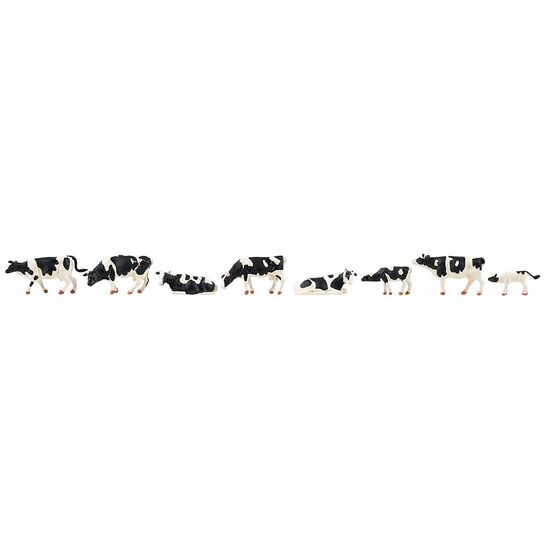 Vaches noir et blanc
