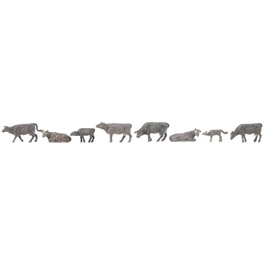 Vaches de montagne