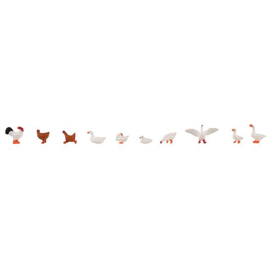 Poulets Canards et oies