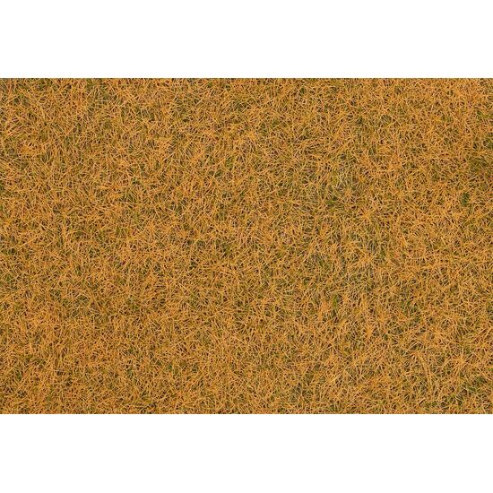 Fibres à saupoudrer Herbe sauvage desséchée 4 mm 30 g