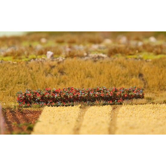 4 PREMIUM Haies Feuilles d'automne