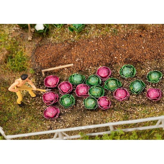 10 choux blancs et 10 choux rouges