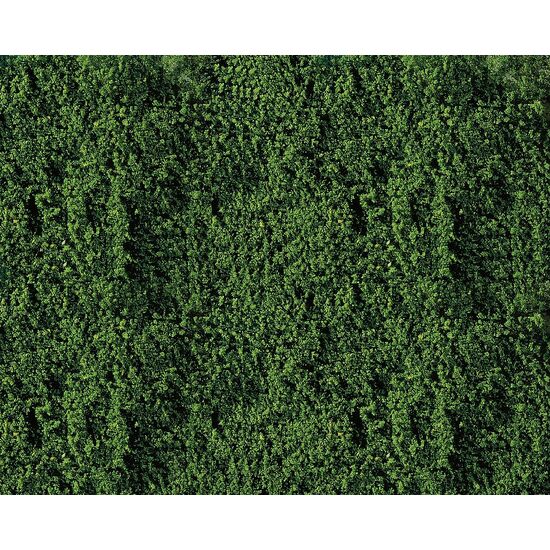 Voile de feuillage vert foncé