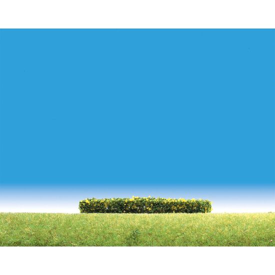3 Haies à fleurs jaunes