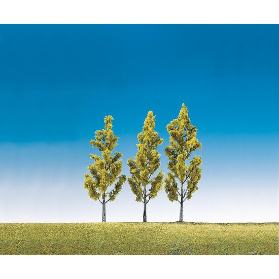 3 bouleaux