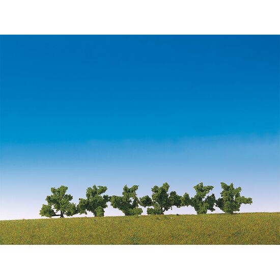 6 buissons verts