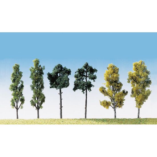6 arbres assortis