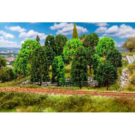 15 arbres à feuilles caduques triés