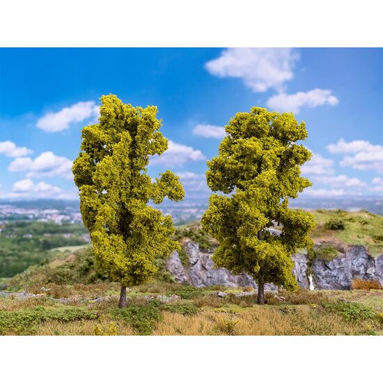 2 frênes
