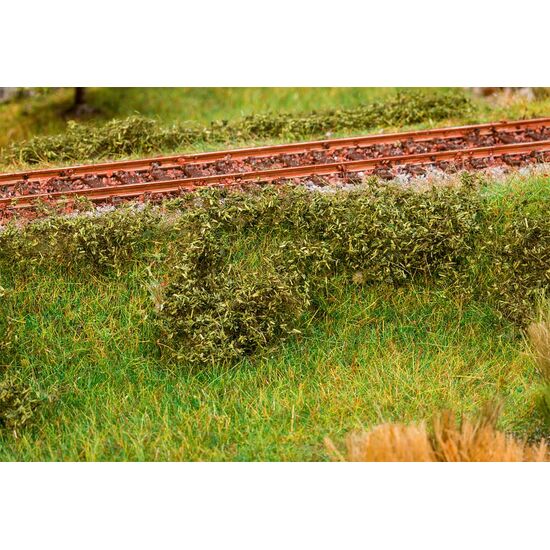 Feuillage vert foncé