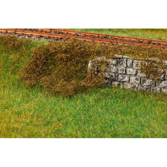 Feuillage multicolore