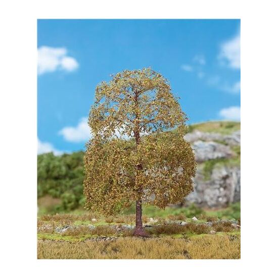 1 Premium Linde im Herbst