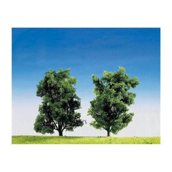 2 Eschen Top Serie 14cm