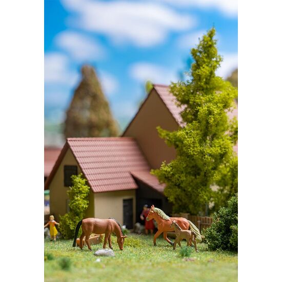 Chevaux, 2 image