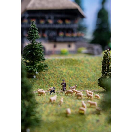 Schäferei, 2 image