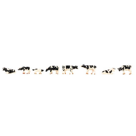 Vaches noir et blanc