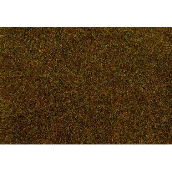 PREMIUM Fibres à saupoudrer Prairie d'automne 6 mm 30 g