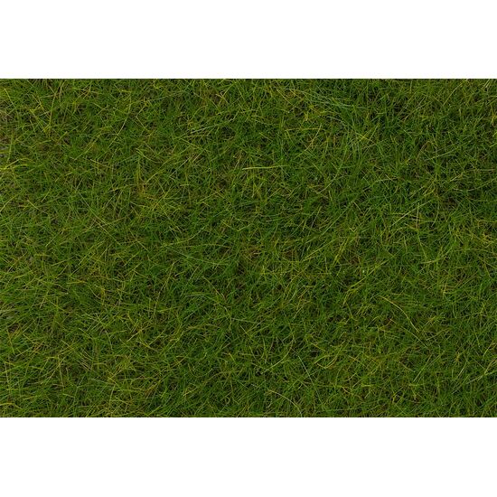 PREMIUM Fibres à saupoudrer Prairie d'été longue 12 mm 30 g