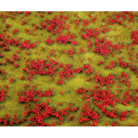 PREMIUM Landschafts-Segment  Blumenwiese  rot