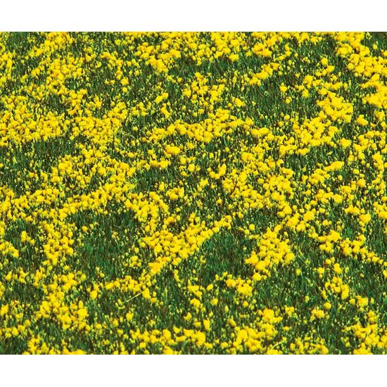 PREMIUM Landschafts-Segment  Rapsfeld