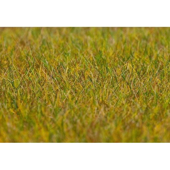 PREMIUM Fibres à saupoudrer Prairie vert clair 6 mm 30 g