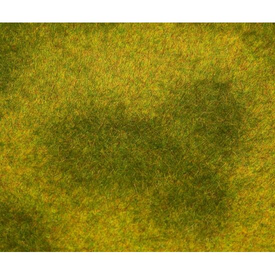 PREMIUM Landschafts-Segment  Wiese  hell