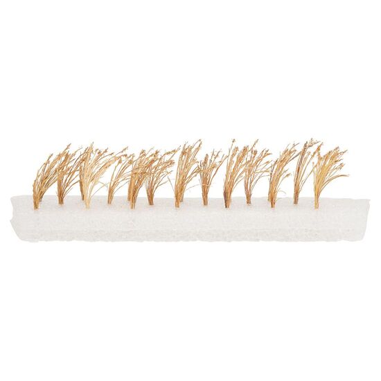 26 Plantes de roseaux, 2 image