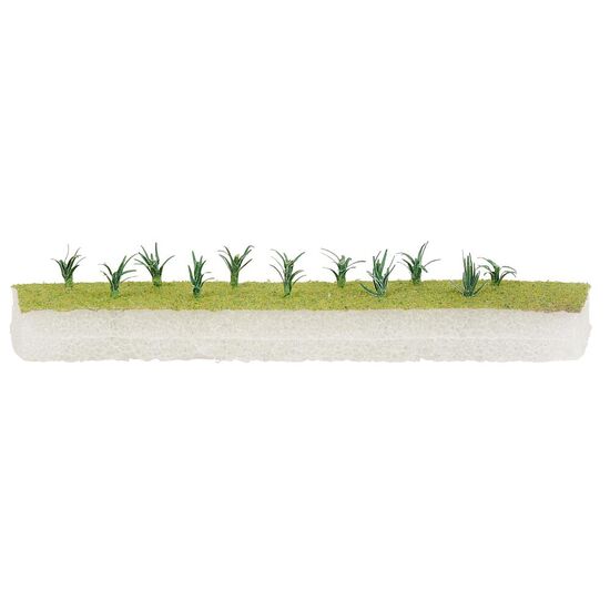 20 plants de poireaux, 2 image