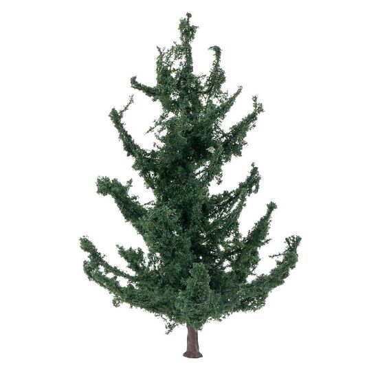 Sapin, 2 image