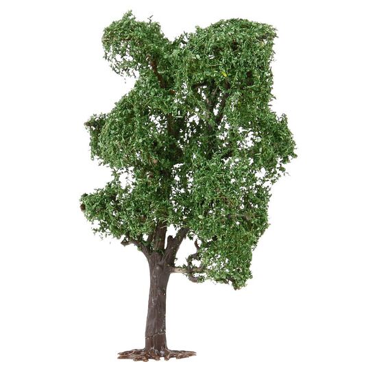 Acacia, 2 image