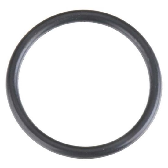 O-RING (S-16)