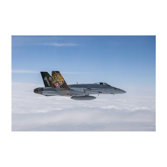 F/A-18 Hornet Tiger Meet 2016