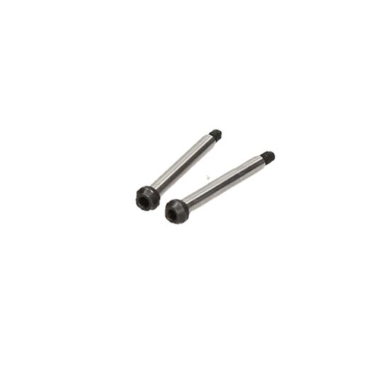 D216 - HINGE PIN SET (OUTER FRONT/2pcs)