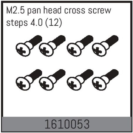 M2.5 pan head cross screw steps 4.0 (12)