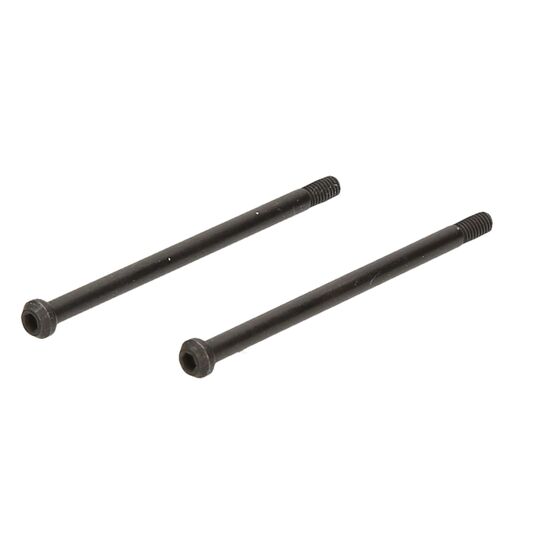 Hinge Pin (Outer/2pcs/D817T)
