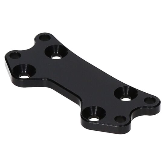D4 Evo3 camber mount A