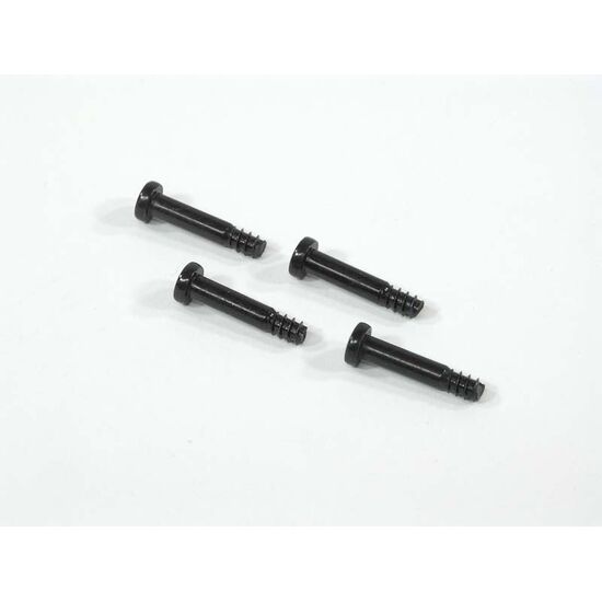 VIS 4x20mm (4 PCES - SAVAGE .21)