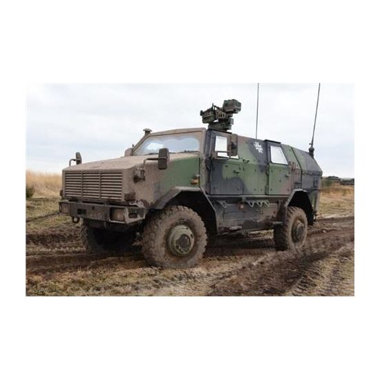 Dingo 2A3.1