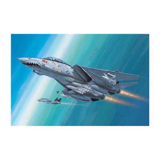F-14D Super Tomcat