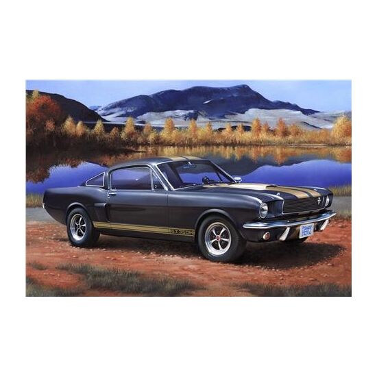 Shelby Mustang GT 350 H
