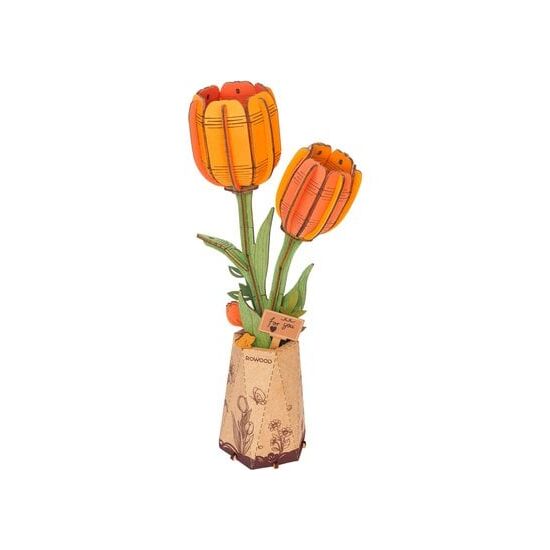 RobotimeOrange Tulip