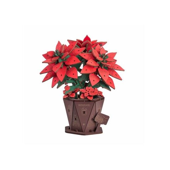 RobotimePoinsettia