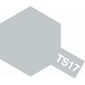 Spray TS-17 alu