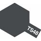 Spray TS-48 grau